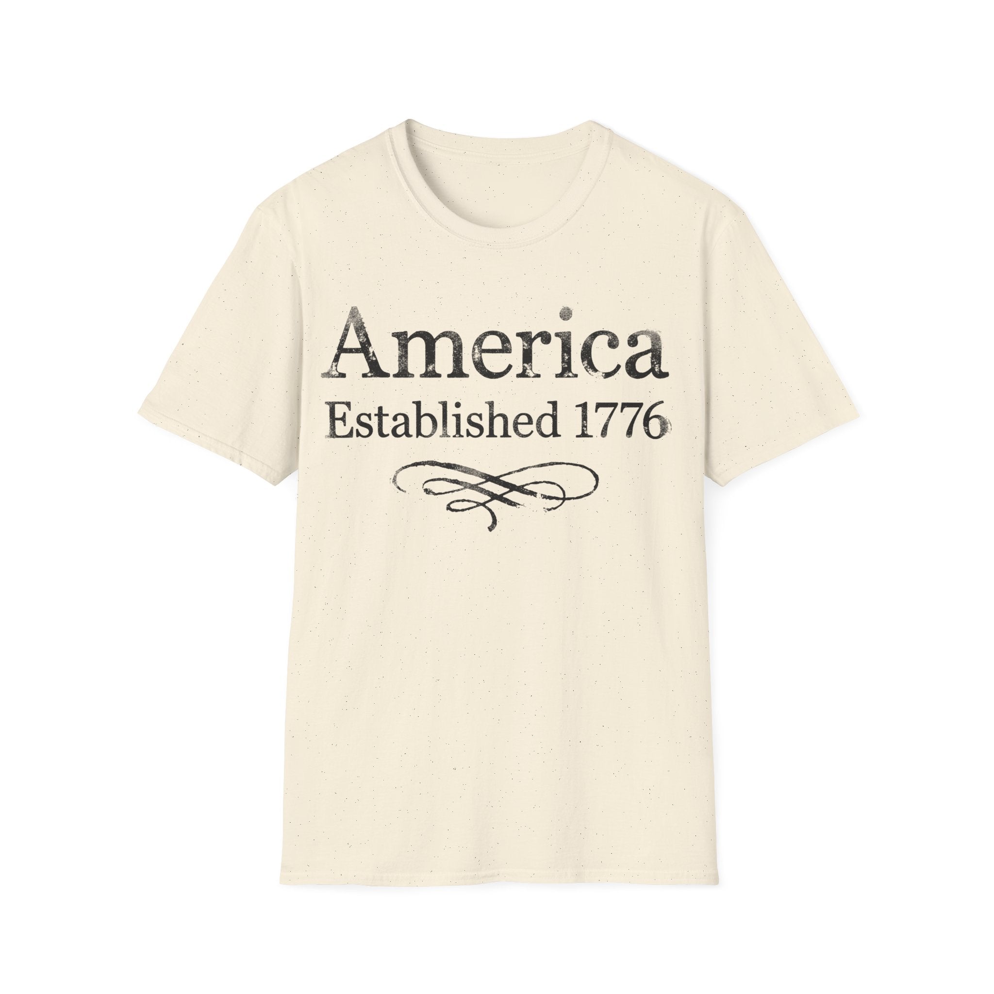 America Established 1776 Vintage Elegant Flourish T-Shirt