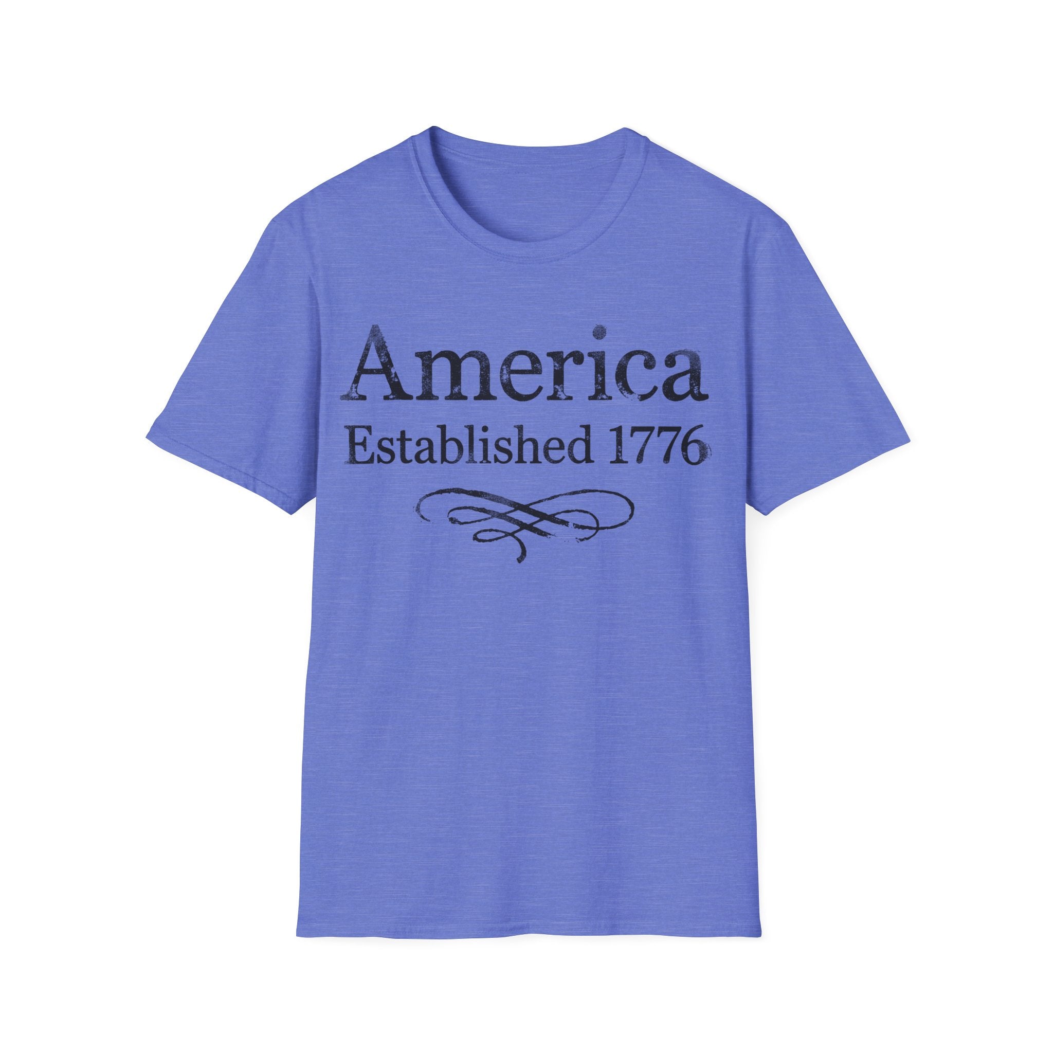 America Established 1776 Vintage Elegant Flourish T-Shirt