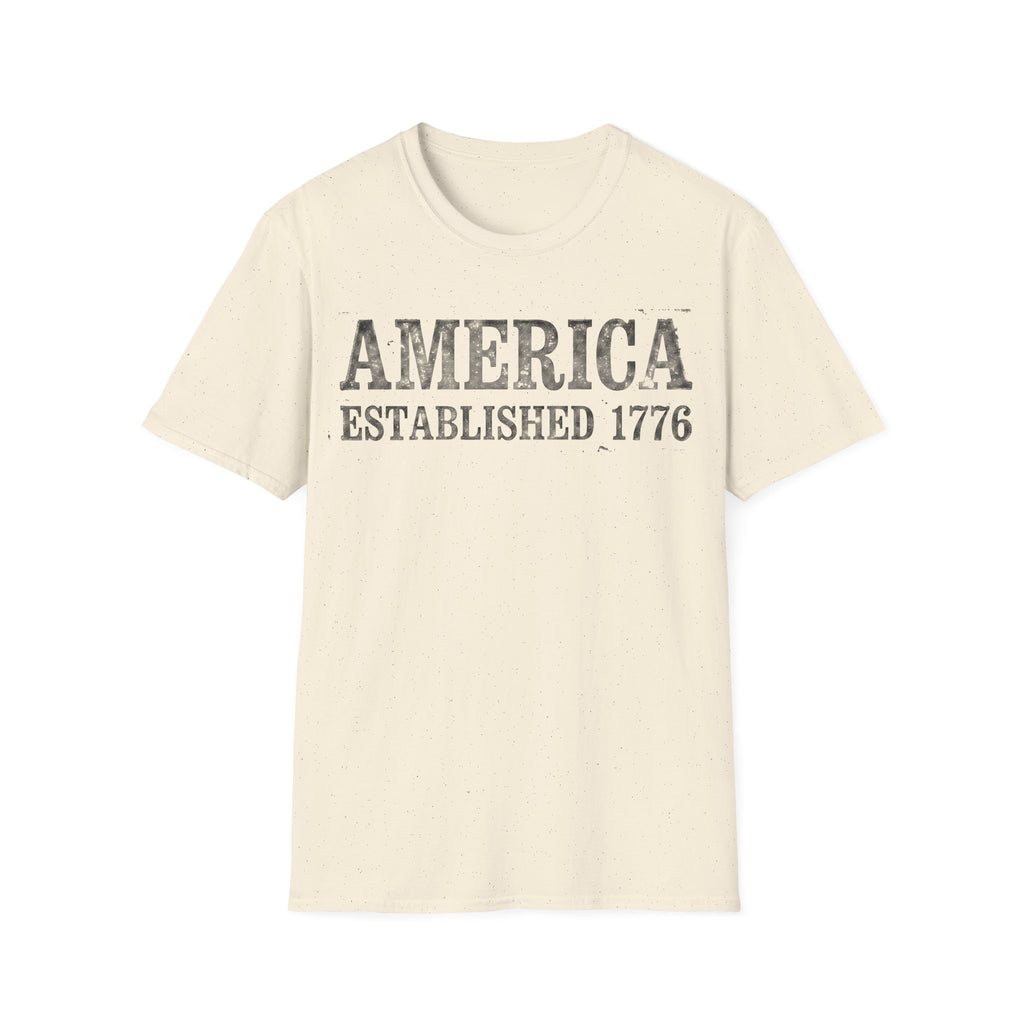 America Established 1776 Vintage Bold Distressed T-Shirt