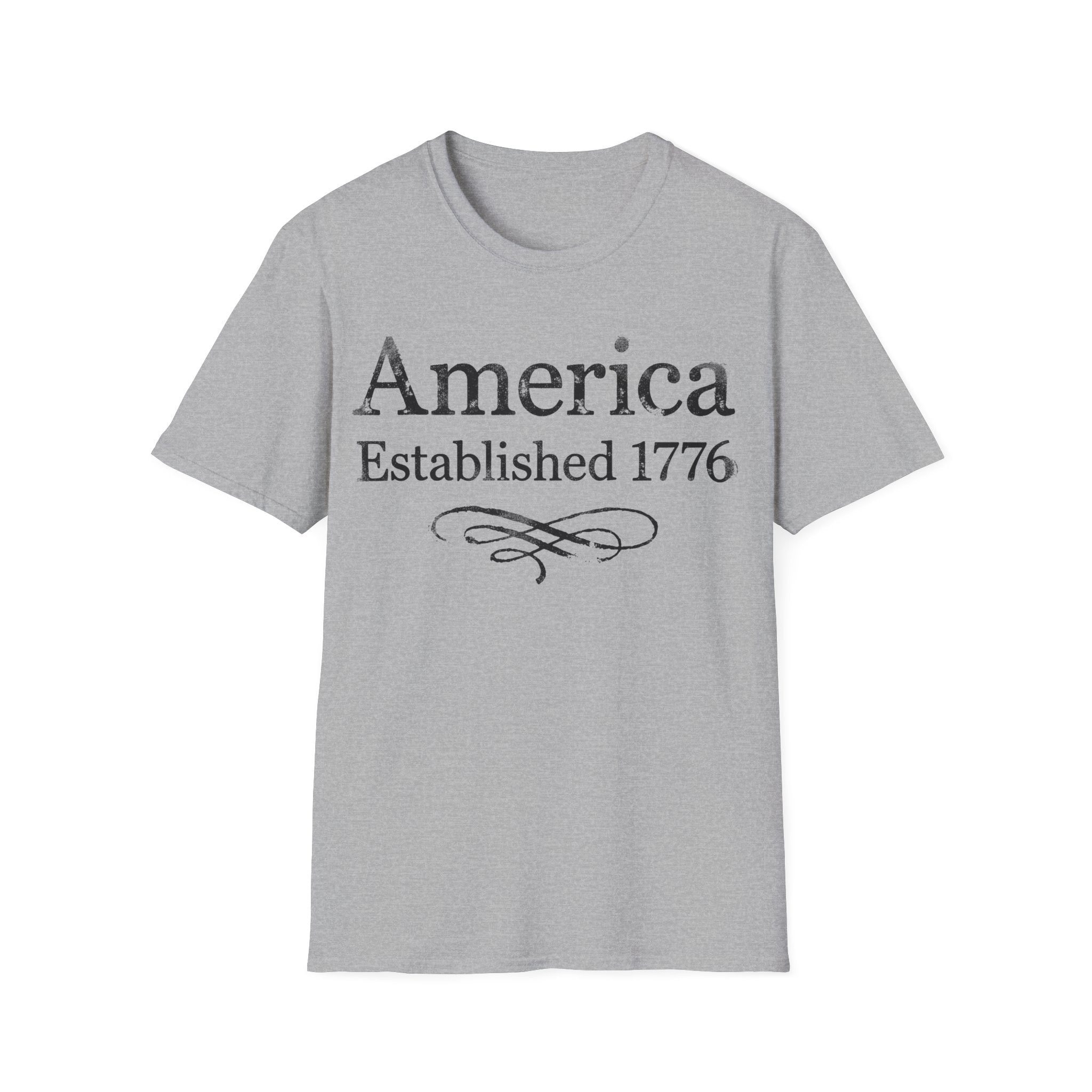 America Established 1776 Vintage Elegant Flourish T-Shirt